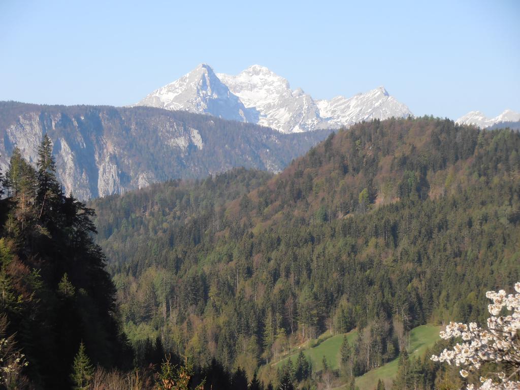 Penzion Pr' Betel Jesenice Zewnętrze zdjęcie